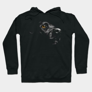 Black Lab Labrador Retriever Gold Eye Retriever Love Hoodie